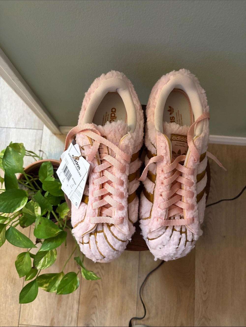 Adidas women’s “superstar conchas”